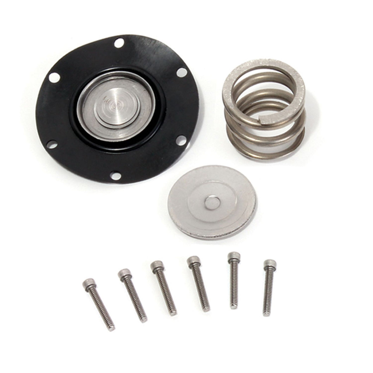 FUEL PRESSURE REGULATOR REBUILD KIT FOR BBK 1706, 1707 ONLY