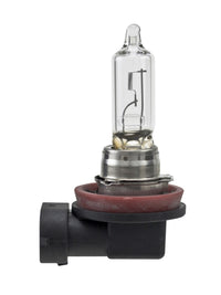 Thumbnail for Hella Bulb H9 12V 65W Pgj195 T4 (2)