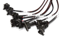 Thumbnail for Haltech V8 Big/Small Block GM/Ford/Chrysler Elite 2000/2500 Terminated Harness w/EV1 Inj Connectors