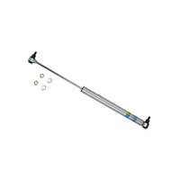 Thumbnail for Bilstein B6 99-04/06-13 Ford F53 Steering Damper