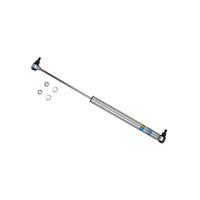 Thumbnail for Bilstein B6 99-04/06-13 Ford F53 Steering Damper