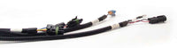 Thumbnail for FAST Wiring Harness FAST Main