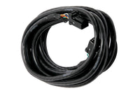 Thumbnail for Haltech CAN Cable 8 Pin Black Tyco to 8 Pin Black Tyco 3000mm (120in)