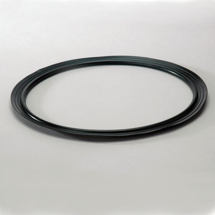 Donaldson P160215 Hydraulic Seal