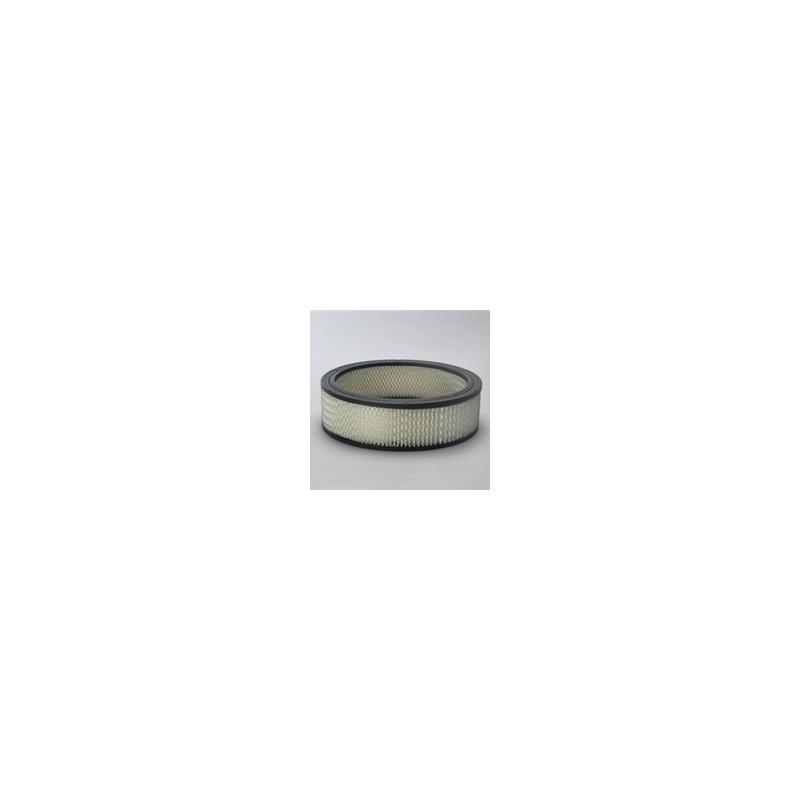 Donaldson P524355 Air Filter