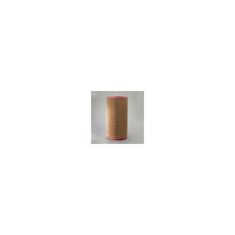 Donaldson P618931 Air Filter