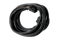 Thumbnail for Haltech CAN Cable 8 Pin Black Tyco to 8 Pin Black Tyco 150mm (6in)
