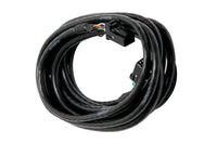 Thumbnail for Haltech CAN Cable 8 Pin Black Tyco to 8 Pin Black Tyco 600mm (24in)