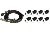 Thumbnail for Haltech Big/Small Block Ford V8 8 Channel Individual High Output IGN-1A Inductive Coil & Harness Kit