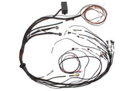 Thumbnail for Haltech Mazda 13B (S4/5 CAS w/Flying Lead Ignition) Elite 1000 Terminated Harness
