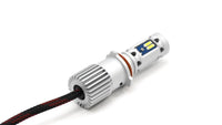 Thumbnail for Putco Nitro 360 Fog Light Bulbs - White/Yellow - PSX26