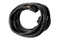 Thumbnail for Haltech CAN Cable 8 Pin Black Tyco to 8 Pin Black Tyco 2400mm (92in)