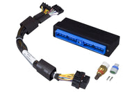 Thumbnail for Haltech Nissan Patrol/Safari Y60/Y61 (TB45E Only) Elite 750 Plug-n-Play Adaptor Harness