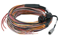 Thumbnail for Haltech PD16 Flying Lead Harness 5M