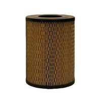 Thumbnail for Fleetguard AF25399 12-Pack Air Filter