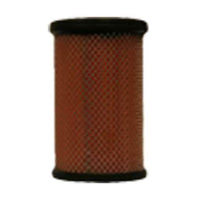 Thumbnail for Fleetguard AF25561 Air Filter