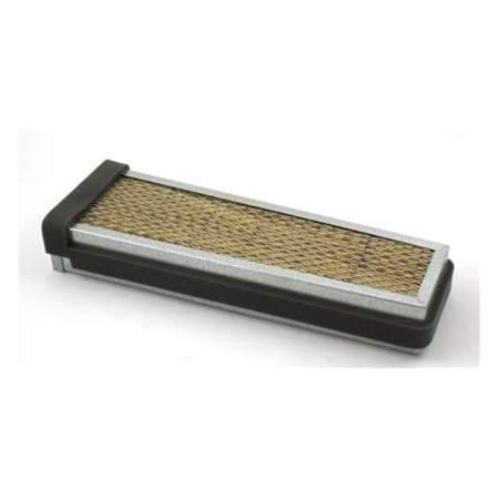 Fleetguard AF55747 Cab Air Filter