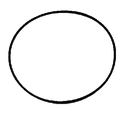 Wix 15176 Gasket